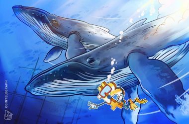 massive-bitcoin-whale-buys-$200m-in-btc,-another-wakes-up-after-8-years