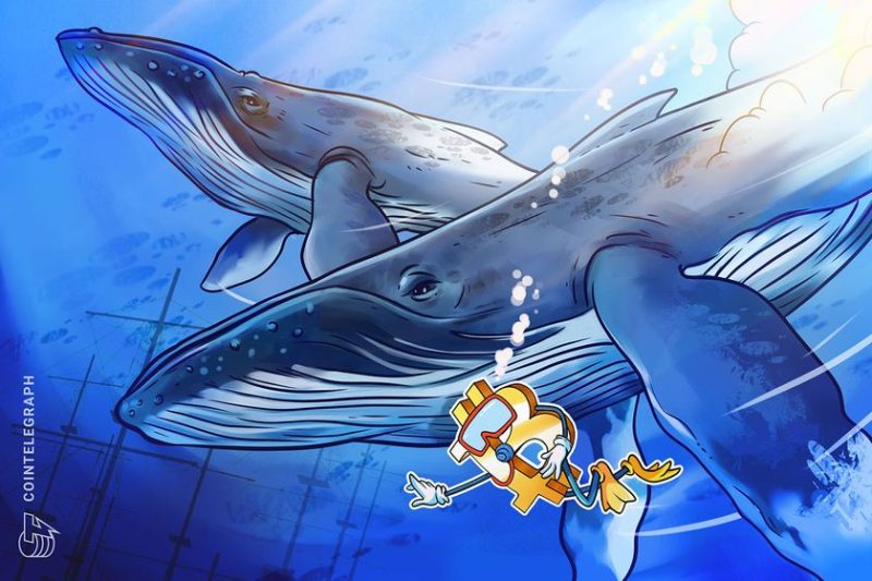 massive-bitcoin-whale-buys-$200m-in-btc,-another-wakes-up-after-8-years