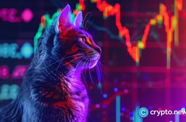 popcat-price-rally-gains-steam-as-tokens-on-exchanges-dip