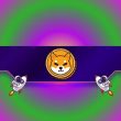 shiba-inu-(shib)-soars-by-16%-daily:-what-drives-the-surge?