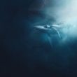 bitcoin-whales-make-big-moves-as-bullish-momentum-resurfaces