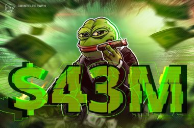 crypto-trader-turns-$2k-pepe-into-$43m,-sells-for-$10m-profit