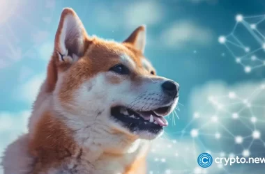 dogecoin-price-has-crashed,-but-a-rare-pattern-points-to-a-rebound