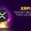 interesting-ripple-(xrp)-price-predictions:-watch-out