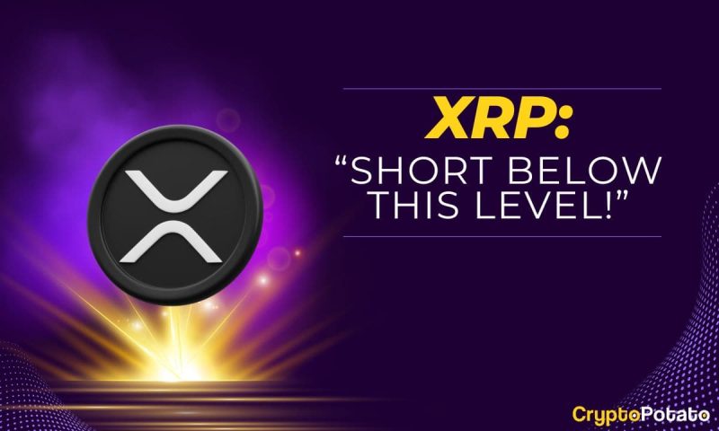 interesting-ripple-(xrp)-price-predictions:-watch-out