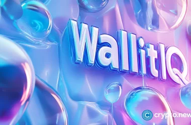 $27.53m-pepe-long-opens-the-door-for-a-high-stakes-market-shift,-wallitiq-responds