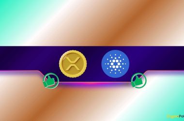 binance-traders-bet-big-on-xrp-and-ada:-should-you-be-worried?