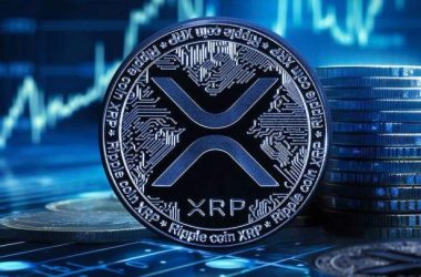 xrp-high-stakes-setup:-analyst-warns-of-sharp-move-to-$17-or-$0.65