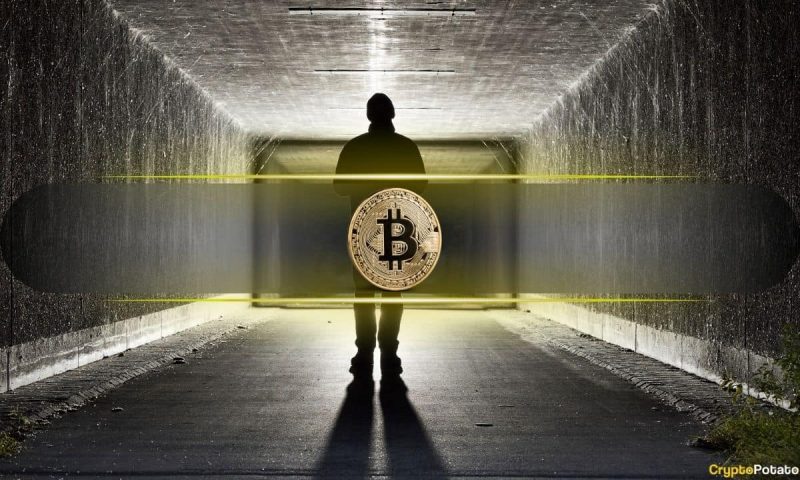 crypto-lawyer-sues-homeland-security-over-satoshi-nakamoto-mystery