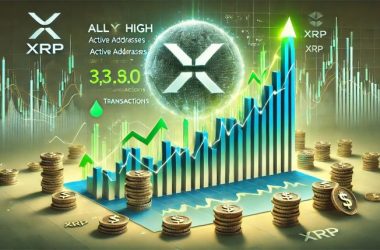 xrp-network-activity-hits-all-time-high-despite-market-volatility-–-bullish-signal?
