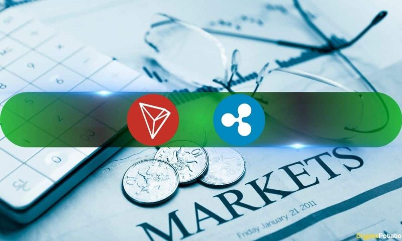 here’s-how-xrp,-trx-defy-the-current-market-turmoil:-glassnode