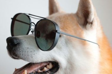 from-joke-to-juggernaut:-dogecoin-value-revolution-gets-nod-from-global-asset-giant