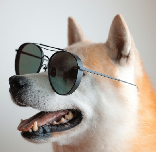 from-joke-to-juggernaut:-dogecoin-value-revolution-gets-nod-from-global-asset-giant