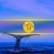 largest-btc-inflow-since-2022-hits-accumulation-wallets:-cryptoquant