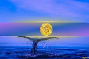 largest-btc-inflow-since-2022-hits-accumulation-wallets:-cryptoquant