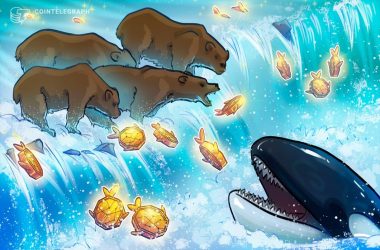 what-is-a-bear-raid,-and-how-do-whales-use-them-in-crypto-trading?