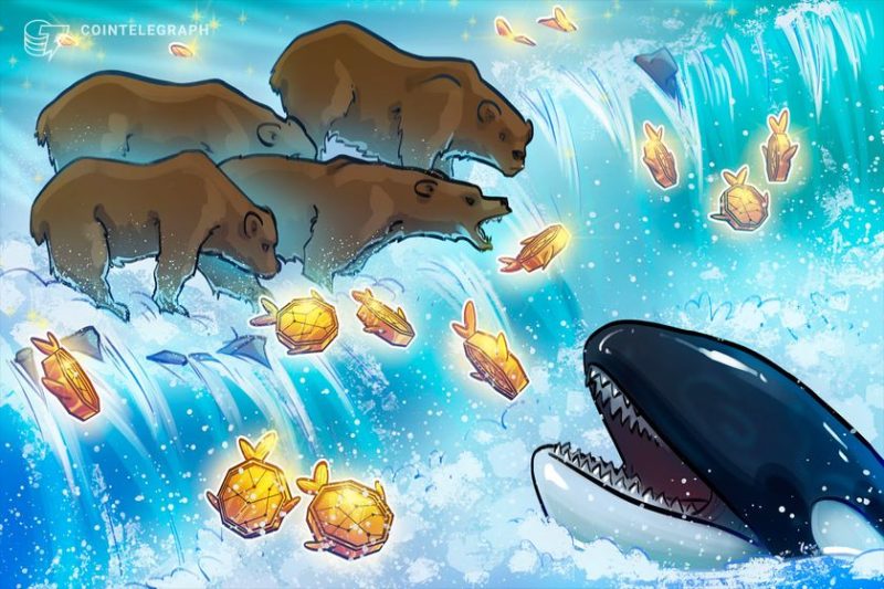 what-is-a-bear-raid,-and-how-do-whales-use-them-in-crypto-trading?