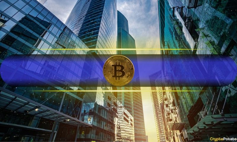 corporate-btc-buying-surged-in-q1-despite-market-correction