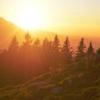 could-1,000-xrp-buy-you-happiness?-this-analyst-thinks-so