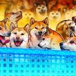 dogecoin-holders-celebrate-‘dogeday’-4/20-as-etf-decision-draws-near