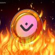 mantra-says-ceo-has-begun-the-process-of-burning-his-150m-om-tokens