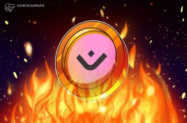 mantra-says-ceo-has-begun-the-process-of-burning-his-150m-om-tokens