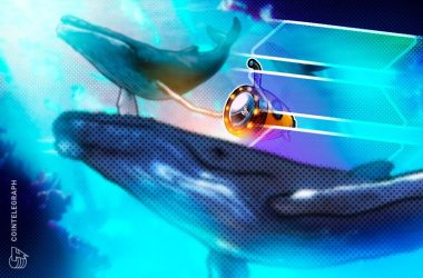 solana-whale-sits-on-$153m-profit-after-4-year-staking-play