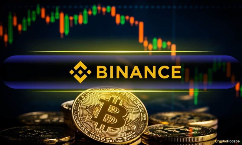 binance-dominates-bitcoin-reserves:-holds-23%-of-all-btc-on-exchanges