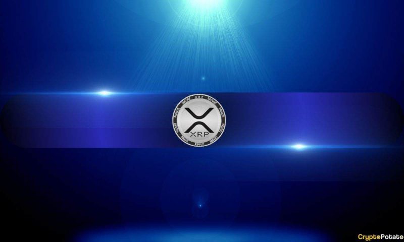 xrp-news-roundup:-5-blitz-factors-for-ripple’s-price