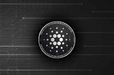 cardano-sets-voting-record:-nearly-100%-of-4.6-billion-ada-cast-via-delegates