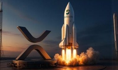proshares-may-debut-leveraged,-short-xrp-futures-etfs-as-soon-as-this-week