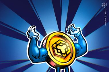 bnb-chain-price-among-‘most-resilient’-altcoins-of-the-bull-market-—-here’s-why