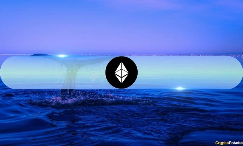 the-latest-ethereum-whale-activity:-should-eth-investors-worry?
