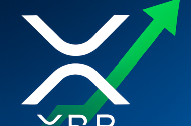 xrp-poised-for-final-flush-before-breakout,-predicts-crypto-analyst