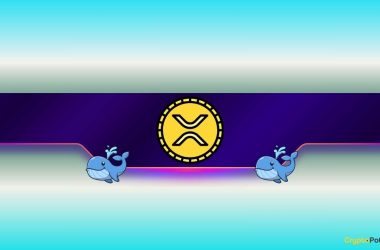 900,000,000-xrp-bought-in-a-month:-what-do-ripple-whales-know?