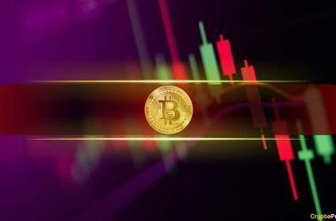 btc’s-price-was-stopped-at-$98k-but-dominance-over-alts-continues-to-rise-(weekend-watch)