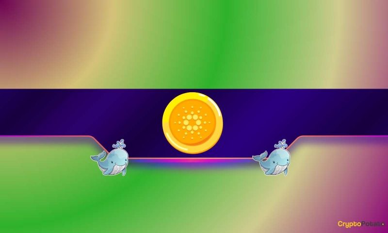 410,000,000-ada-in-a-month:-whales-continue-to-pile-up,-so-when-a-cardano-surge?