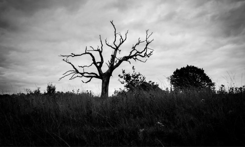 crypto-glut-turns-to-graveyard-as-1.8m-tokens-died-in-q1-2025