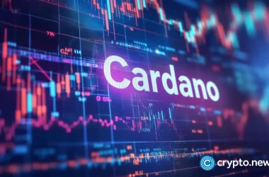 cardano:-a-coiled-spring?-whales-accumulate,-price-rebound