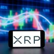 major-xrp-accumulation-alert:-wallets-holding-over-10,000-coins-cross-300,000