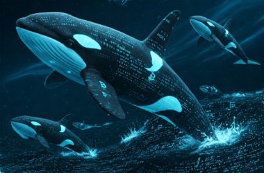 bitcoin-rebounds-after-sharp-drop-as-whales-fuel-push-toward-$100k