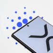 xrp-analyst-marks-xdc-for-3,350%-take-off-as-bullish-metrics-emerge