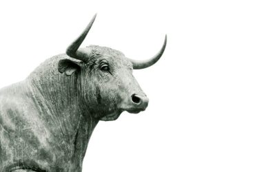 new-xrp-rally-incoming?-analyst-believes-this-cycle-is-unique