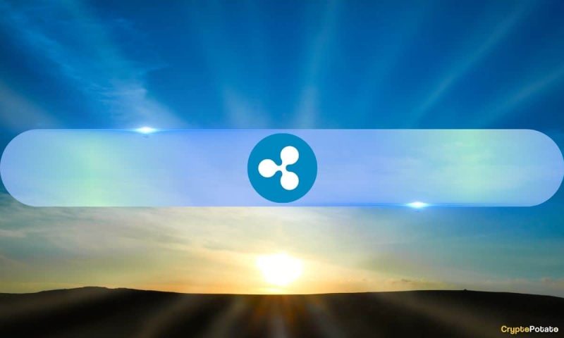 will-ripple-(xrp)-outperform-bitcoin-in-2025?-3-factors-to-consider