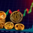 pippin,-moo-deng-top-meme-coin-charts-as-btc-hovers-near-$105k