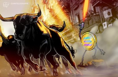 solana-network-and-defi-activity-suggest-sol-price-rally-will-continue