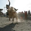 is-bitcoin-bull-run-back?-daily-rsi-shows-only-mild-bullish-momentum