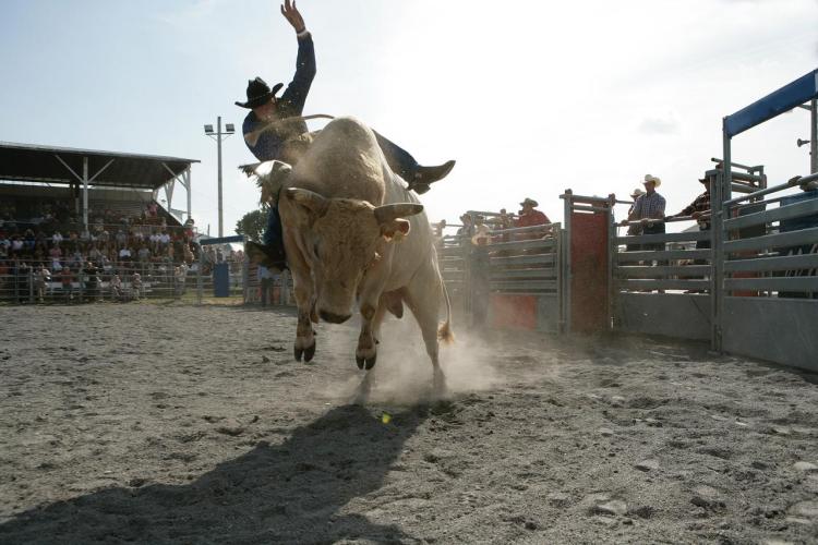 is-bitcoin-bull-run-back?-daily-rsi-shows-only-mild-bullish-momentum