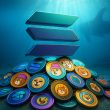 crypto-whale-bets-$6-million-on-solana-memecoins-comeback-amid-market-decline