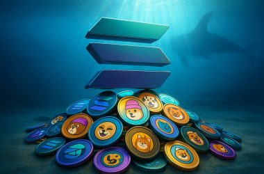 crypto-whale-bets-$6-million-on-solana-memecoins-comeback-amid-market-decline